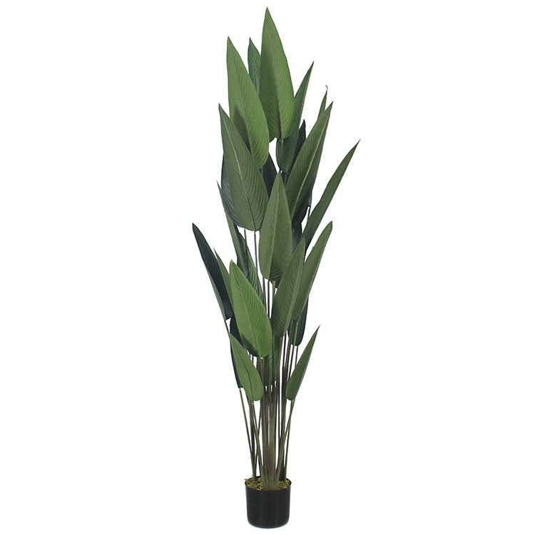 กองทัพสีเขียว