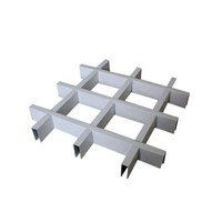 Mur rideau alliage Al grille acoustique déflecteur tuile 600x600 zinc bois plafond décor U déflecteur aluminium bande panneau de plafond