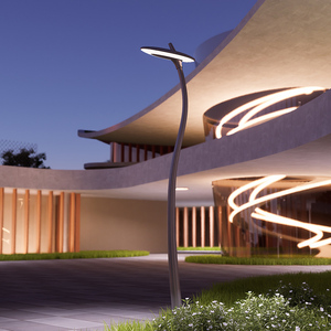 최고 가격 고품질 특별한 모양 폴란드 태양 전지판 Led 가로등 - Product Image 3