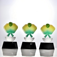 Trophée en cristal haut de gamme, écologique, poli et gravé au laser pour le développement du pickleball chez les jeunes, sports et jeux