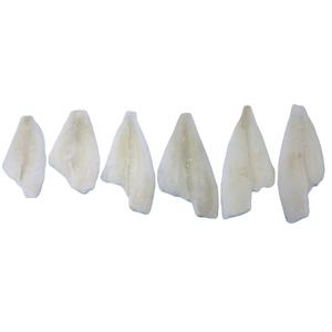 Filetti di Pesce Gatto Congelati di Alta Qualità (Lepidopsetta Bilineata) per Acquirenti Internazionali e Importatori di Frutti di Mare - Product Image 1