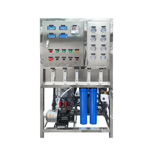 250L Industrial Ultra Pure Water Edi Water Ionization System Ro Plant