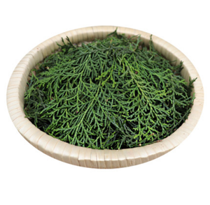 育毛成分 純粋な東洋白樺葉粉末 - Product Image 3