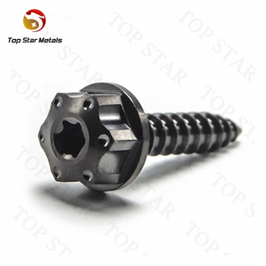 TITST Gr5 boulons en titane filtre à air <span class=keywords><strong>carrosserie</strong></span> vis autotaraudeuse tête <span class=keywords><strong>de</strong></span> bride vis hexagonale boulons pour moto voiture vélo - Product Image 6