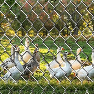 Chain Link Wire Mesh Rust-proof Steel Wire Mesh Outdoor Perimeter <b>Fence</b> <b>Net</b> - Product Image 1