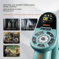 Intelligentes Wiederaufladbares Wasserdichtes IP67 Hunde- & Katzen-Trainingshalsband mit Fernbedienung Schock & Vibration Anti-Zug-Leine