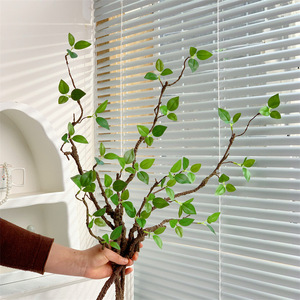 Plante Artificielle Qingyu Chronicle, Branche Unique en Caoutchouc Souple, Décoration Intérieure, Feuilles Vertes, Bouquet de Fleurs Séchées Bioniques - Product Image 1