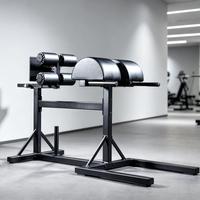 GHD Glute Ham Developer Robuste, Banc d'hyperextension multifonctionnel type Chaise Romaine pour salle de sport commerciale et salle de sport à domicile
