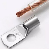 Embout de câble en cuivre pur étamé SC10, borne à sertir, 600V, utilisation industrielle, connecteur électrique pour transformateur de distribution d'énergie