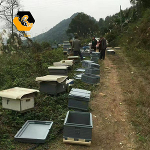 <span class=keywords><strong>Ruche</strong></span> à abeilles en plastique empilable à 3 niveaux |   PP <span class=keywords><strong>de</strong></span> qualité alimentaire + stabilisateur UV |   <span class=keywords><strong>Ruche</strong></span> commerciale pour l'apiculture durable - Product Image 5