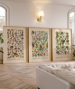 HAOWAI OEMODM Lot de 3 impressions murales, Impressions botaniques <span class=keywords><strong>Adolphe</strong></span> Millot, Art mural Champignons Fleurs Arbres, Décoration intérieure Cottagecore - Product Image 5