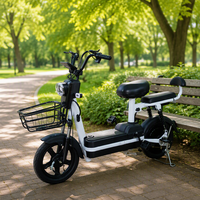 Vélo électrique urbain à double siège 350W 48V, vélo de banlieue confortable avec accessoires complets, tableau de bord LCD