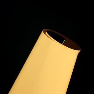 Feuilles de film autocollant en vinyle PVC photoluminescent <span class=keywords><strong>fluorescent</strong></span> auto-adhésif Papier d'avertissement semi-rigide amovible phosphorescent - Product Image 4