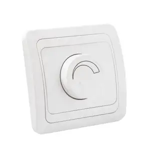 Electrical Equipment Household 250V Switch Rotate Mounted Typle 2P Dimmer Switch Socket Wall Switch