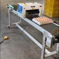 Machine à jet d'encre haute vitesse pour l'impression de date, logo, motif et numéro de lot sur les œufs de poule