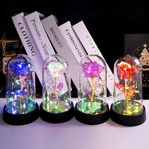 Rosa Galaxia con Luz LED 2026, Flor Preservada en Cúpula de Plástico, Regalo Novedoso para Navidad, San Valentín, Día de la Madre - Product Image 1