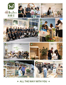 Hikeylove Ensemble de <span class=keywords><strong>maison</strong></span> de jeu intérieure moderne en bois pour enfants, idéal pour la garderie, la salle de classe, le jeu de rôle, mobilier Montessori, écologique - Product Image 6