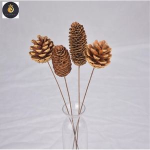 Lễ Tạ Ơn Mộc Mạc Mini Brown Thông <span class=keywords><strong>Cones</strong></span> Trong Số Lượng Lông-Giáng Sinh Tự Nhiên Thông <span class=keywords><strong>Cones</strong></span> Đồ Trang Trí Cho Trang Trí Nội Thất Mùa Thu - Product Image 4