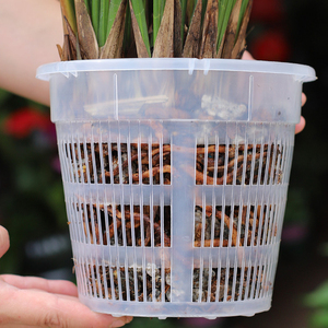 <span class=keywords><strong>Maceta</strong></span> Transparente de Plástico para Orquídeas, Duradera, con Sistema de <span class=keywords><strong>Autorriego</strong></span>, para Cultivo de Plantas y Flores - Product Image 4