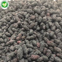 Iqf Exportprijs Sd Merk Gezond Fruit Bevroren Moerbei