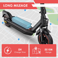 Trottinette électrique pliable en gros UE/USA, roues de 10 pouces avec double suspension, batterie lithium 36V15AH pour adultes