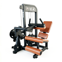 Machine de musculation commerciale 2-en-1 pour flexions et extensions des jambes, double fonction, en acier, pour centre de fitness et musculation