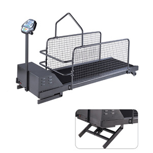 Cinta de Correr Veterinaria para Perros y Gatos, Multimodo, Tiempo, Velocidad, Distancia, Calorías, Cinta de Correr para Clínica Veterinaria y Hospital, Función de Escalada - Product Image 1