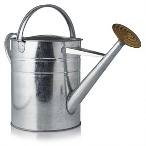 galvanized steel watering can wholesale herbs, and succulents Stylish and functional watering can for modern - Product Image 1