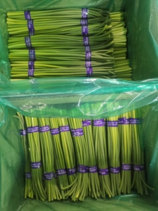 Nouvelle récolte de germes d'<span class=keywords><strong>ail</strong></span> frais de haute qualité chinois, tiges de germes d'<span class=keywords><strong>ail</strong></span> vert frais - Product Image 4