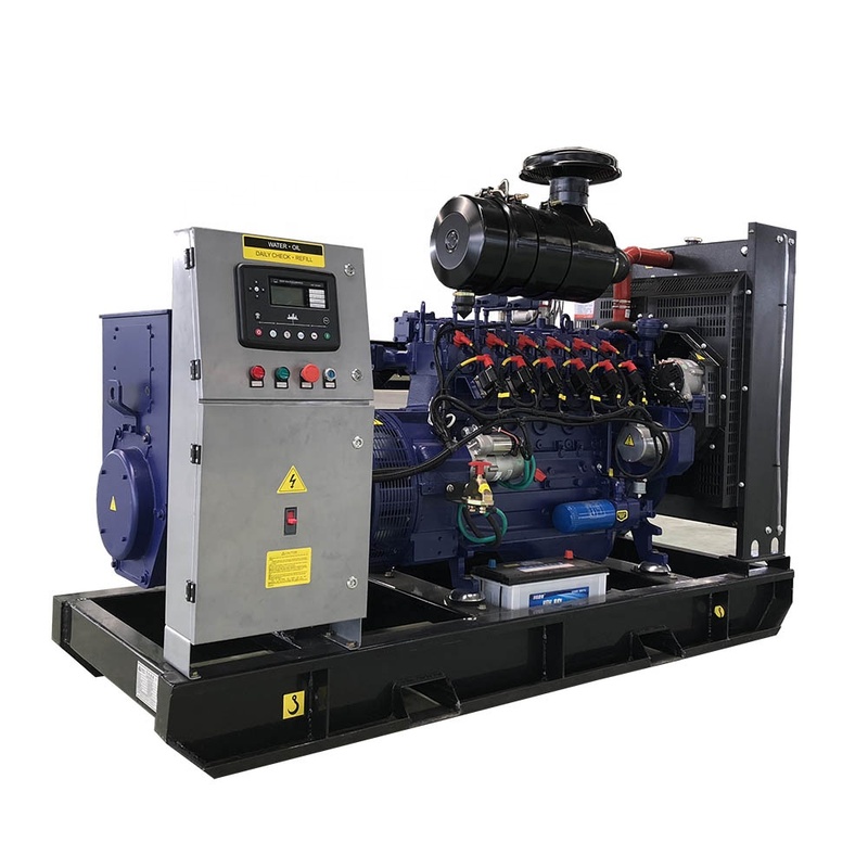 Electric Power Project Type Biogas Natural