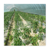 Offre Spéciale Système de culture hydroponique serres agricoles serre de jardin tente de culture serre fabricants d'équipement de maison