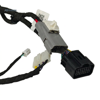 Arnés de Cables de Bajo Voltaje para Automoción con Conector de Bloqueo, Conjunto de Cables Multirramal, Suministro Personalizado