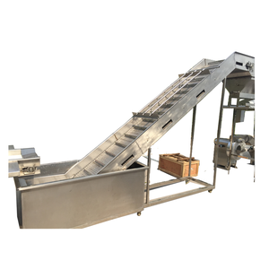 冷凍グリーンピース生産ライン産業/グリーンピース殻むき機 - Product Image 2