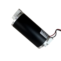 Moteur à vibration DC personnalisé 10V 12V 20V 24V avec suppression EMI pour appareils de massage vibrant et équipements médicaux