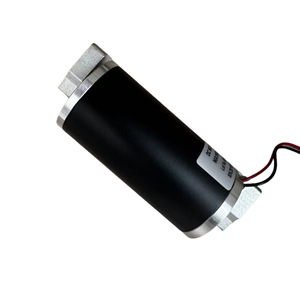 Motor de Vibración de CC Personalizado de 10v 12v 20v 24v con Supresión EMI para Dispositivos de Masaje Vibratorio y Equipos Médicos - Product Image 3