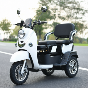 Triciclo Eléctrico <span class=keywords><strong>de</strong></span> Pasajeros, Motocicleta <span class=keywords><strong>de</strong></span> Tres Ruedas Abierta, 3 Velocidades, 48V, Marco <span class=keywords><strong>de</strong></span> Acero al Carbono, Motor <span class=keywords><strong>de</strong></span> 1000W al <span class=keywords><strong>Precio</strong></span> Más Favorable - Product Image 3