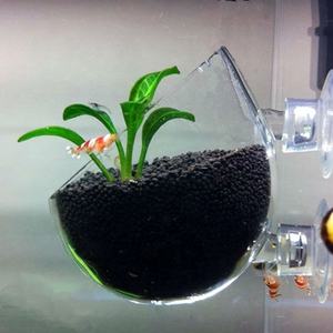 TG-20 TNA <span class=keywords><strong>Aquatic</strong></span> Plant Kristallen Glazen Pot voor <span class=keywords><strong>aquarium</strong></span> landschap - Product Image 6