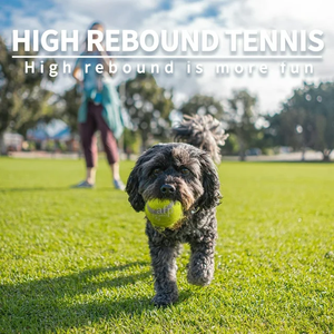 All For Paws, juguete personalizado para perros, Mini pelota de tenis para perros, lanzador automático de pelotas, pelotas de repuesto para perros, <span class=keywords><strong>mascotas</strong></span>, lanzamiento de masticación - Product Image 4