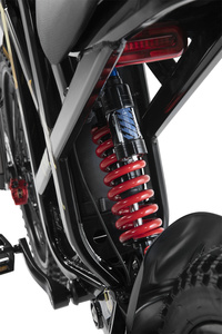 Motocicleta Todoterreno Eléctrica DX1 para Adultos, 48V 1001-2000W, Servicio OEM ODM - Product Image 6