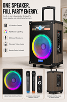 Speaker Karaoke Party Trolley 12-Inci 50W-100W HS-TS12Q3 dengan Dua Mikrofon Nirkabel dan Gagang Retraktil untuk V5.3 RGB LED