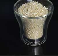 Granulés biodégradables PBAT de qualité supérieure avec d'excellentes performances de transformation