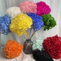 Penjualan Terbaik awet tunggal daun besar Hydrangea selamanya Hortensia Hydrangea bola bordir untuk dekorasi pernikahan