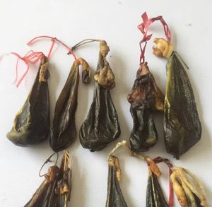 Nautral entier seulement séché la vésicule biliaire de porc crue bile de porc galle de porc à vendre - Product Image 3