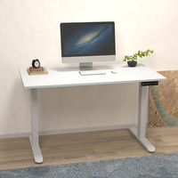 Bureau debout électrique à hauteur réglable à double moteur de haute qualité Bureau de bureau convertible moderne Option de support en acier inoxydable