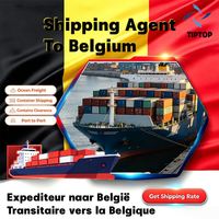 Agente de Transporte Marítimo en Bélgica, Puerto de Gante, Transitario FBA, Servicio Puerta a Puerta, Importador, Empresa de Despacho de Aduanas