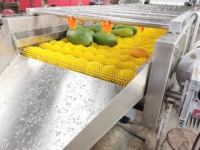 Fruit En Groente Haarwol Roller Reinigingsmachine Wortel Was En Schilmachine