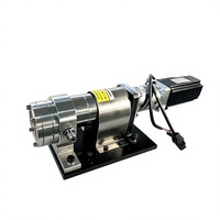 Pompe doseuse à engrenages de haute précision en fer/SUS304/SUS316 avec servomoteur pour distribution de liquides visqueux, fabriquée en Chine