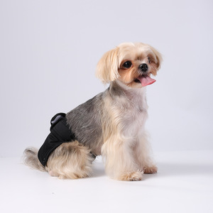Culottes <span class=keywords><strong>pour</strong></span> chien réutilisables écologiques, lavables, bande de ventre, culotte <span class=keywords><strong>pour</strong></span> chien mâle, style simple - Product Image 6