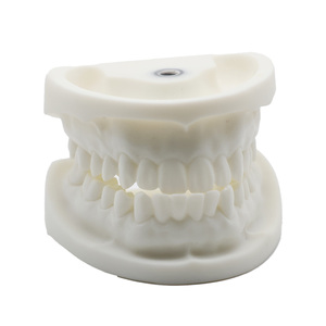 Modelo de Demostración Anatómico de Implante Dental de Tamaño Real, Personalizable, Material de Enseñanza de Ciencias Médicas, Directo de Fábrica, OEM - Product Image 1