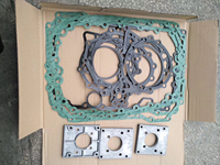 Kit de joint complet de Transmission pour réparation de camion 16S221